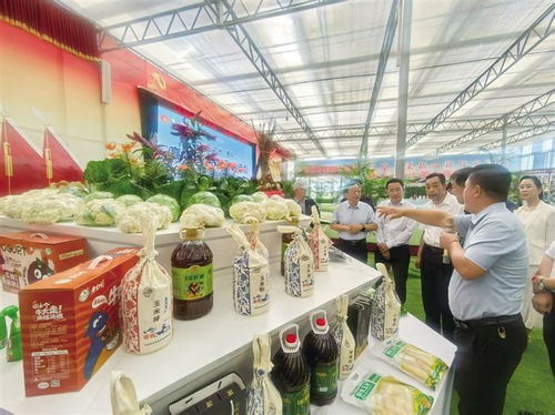 2025中國榆中高原夏菜新品博覽會盛大開幕，1087個新品種引領農業創新