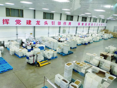 汾陽市多措并舉支持農副產品深加工，助推農業經濟提質增效