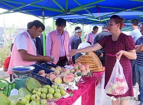 農(nóng)副產(chǎn)品促銷會 打通產(chǎn)銷對接，助力脫貧攻堅的堅實橋梁